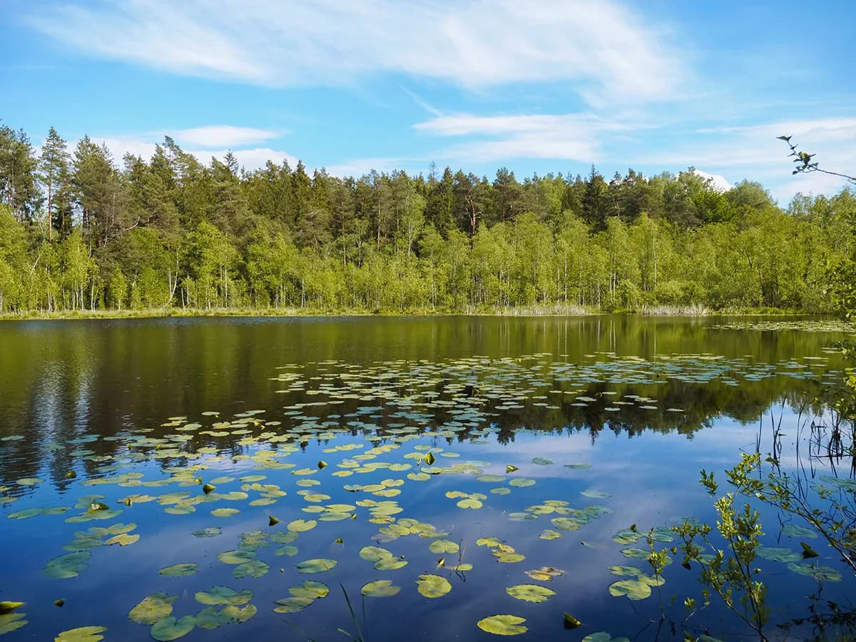 Jezioro Iławskie: Tajemnice, atrakcje i piękno natury w regionie