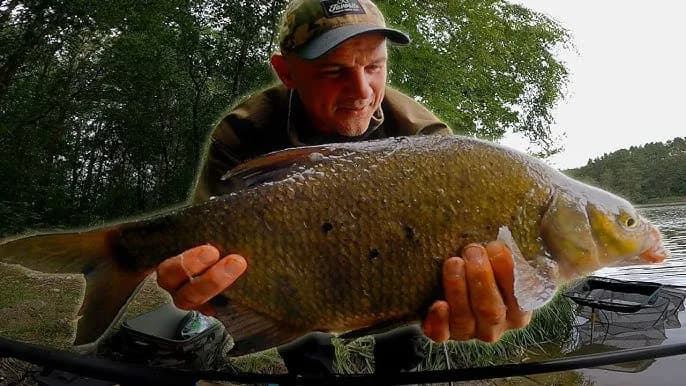 Wędkowanie na jeziorze Drużno – zasady, ryby i dostępne łodzie