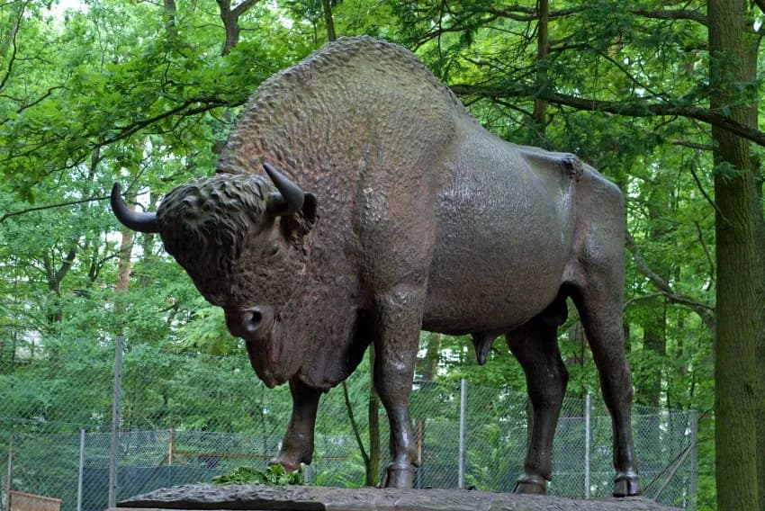 Najciekawsze atrakcje turystyczne w Spałej, które musisz zobaczyć