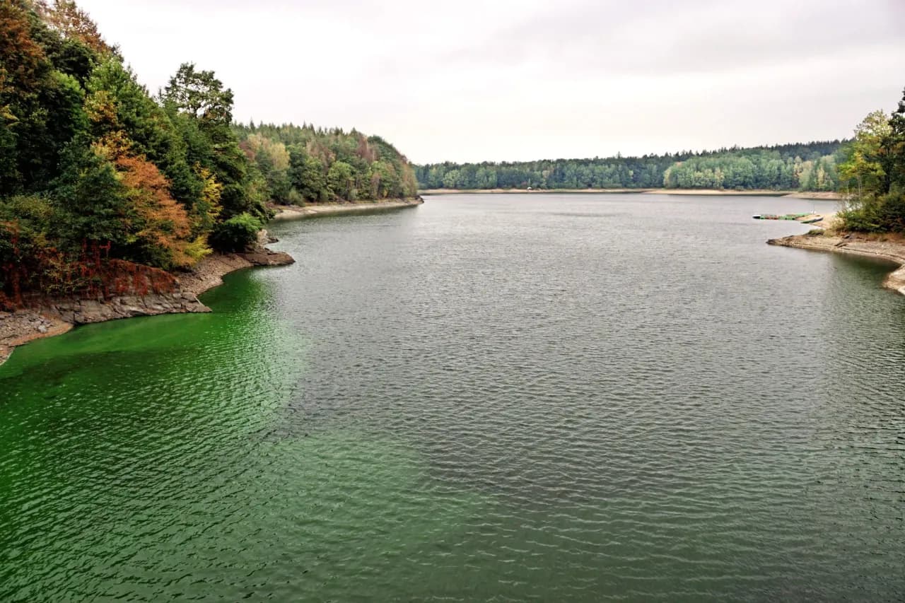 Najlepsze atrakcje jeziora leśniańskiego, które musisz zobaczyć