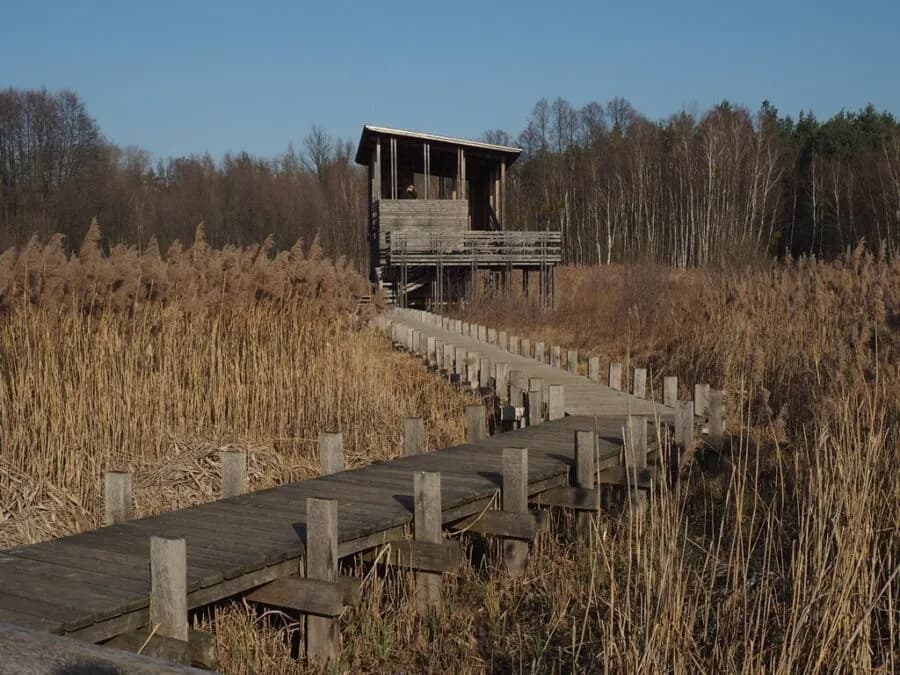 Granica Kampinos atrakcje: Odkryj niezwykłe miejsca i przyrodę