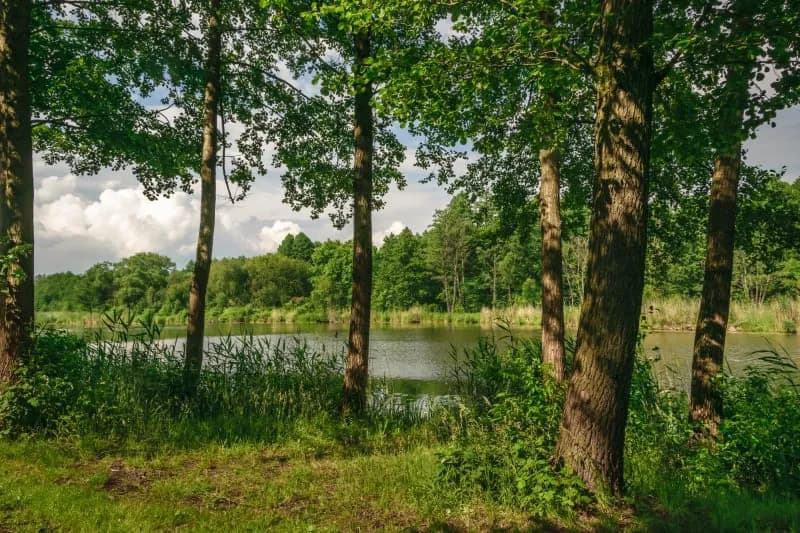 Jezioro Pobłędzie - raj dla miłośników natury i wędkarzy w Polsce