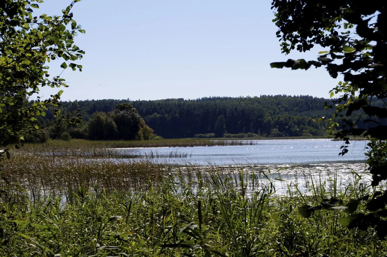 Jezioro Kielarskie: idealne miejsce na wędkowanie i relaks w naturze