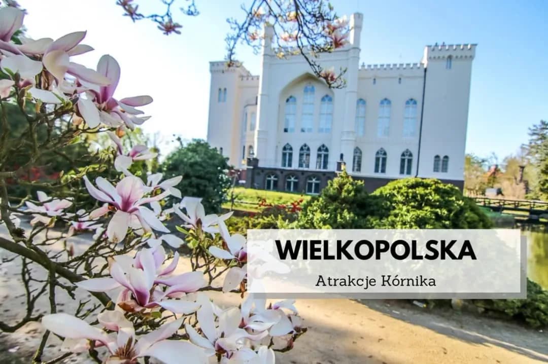 Ayia Napa gdzie zjeść: najlepsze restauracje, które musisz odwiedzić