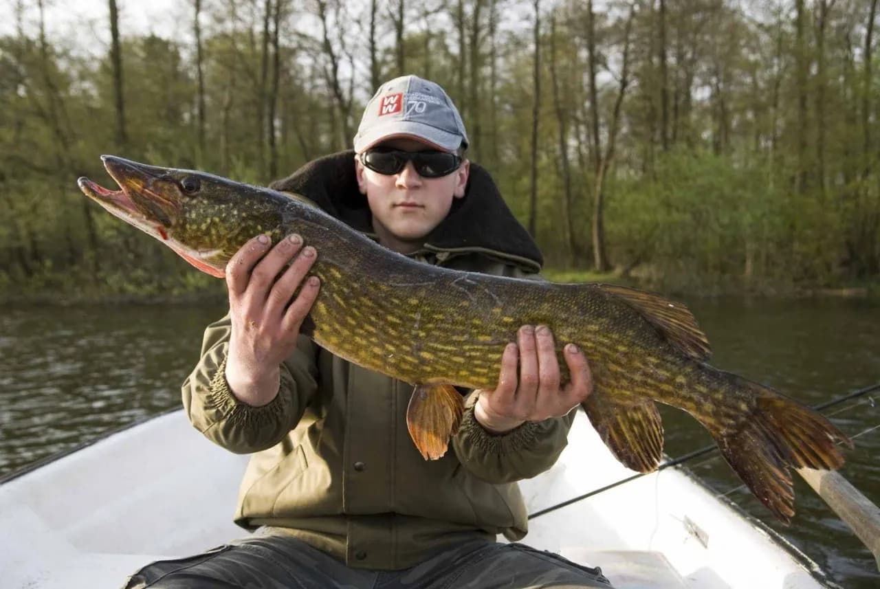 Zezwolenie na wędkowanie w jeziorze Dłużek – co musisz wiedzieć