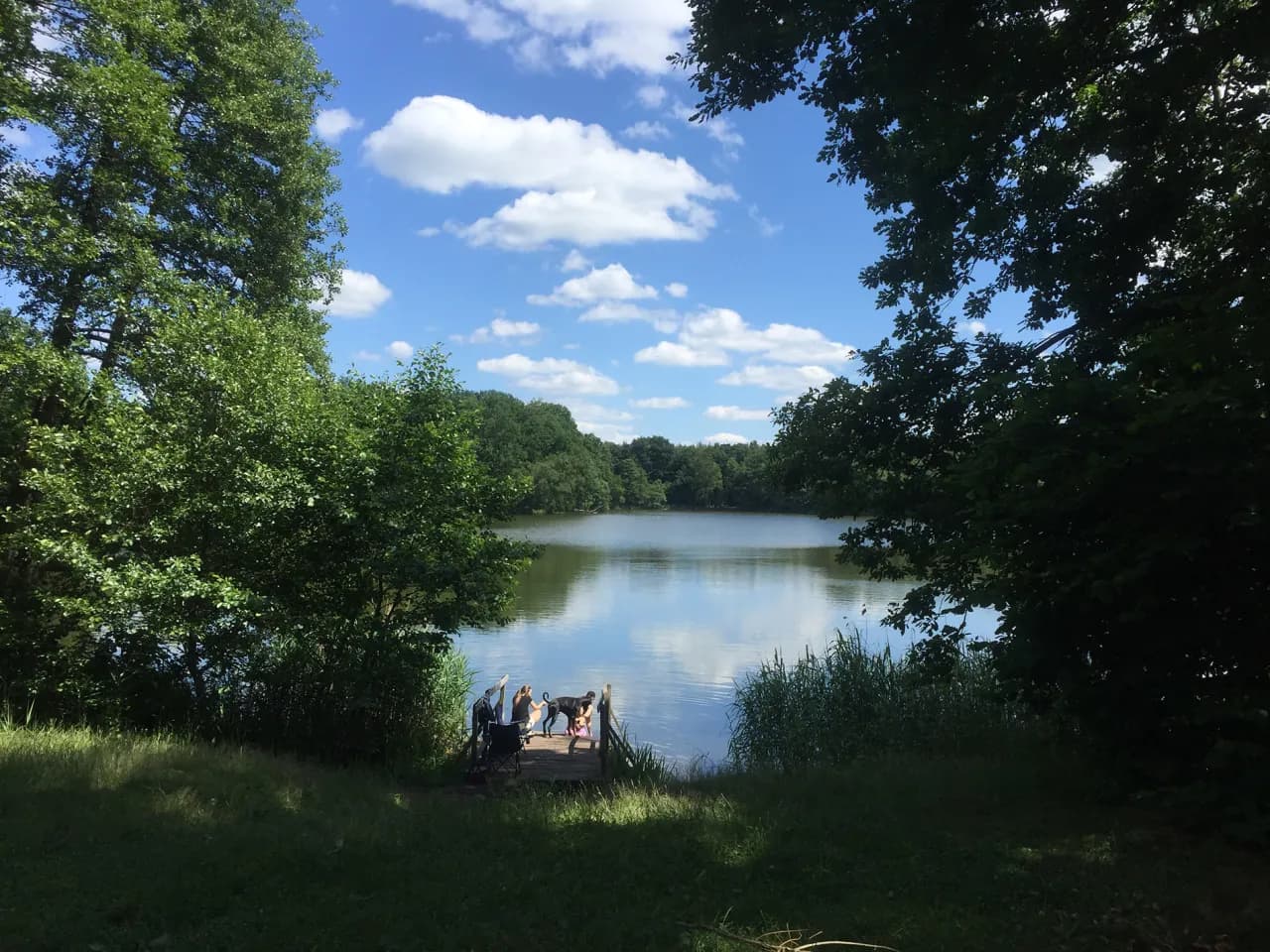 Jezioro Babskie - raj dla miłośników natury i aktywnego wypoczynku