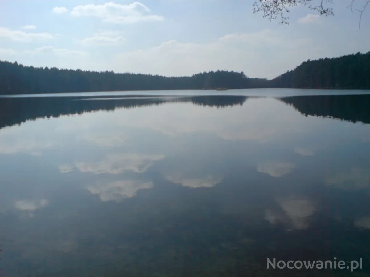 Jezioro Dankowskie: Tajemnice, które warto poznać i odwiedzić