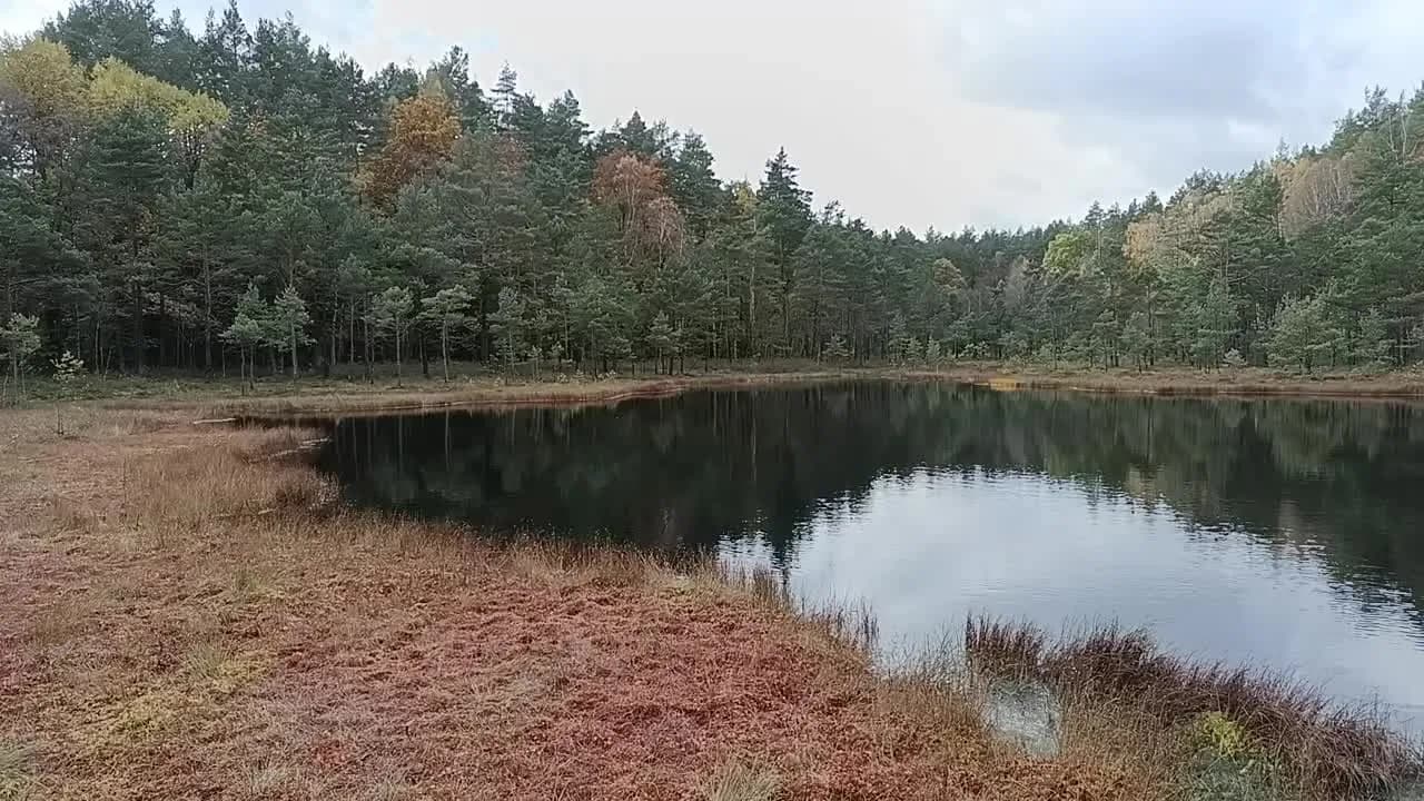 Jezioro Czarne Lubelskie – ukryty skarb dla miłośników przyrody