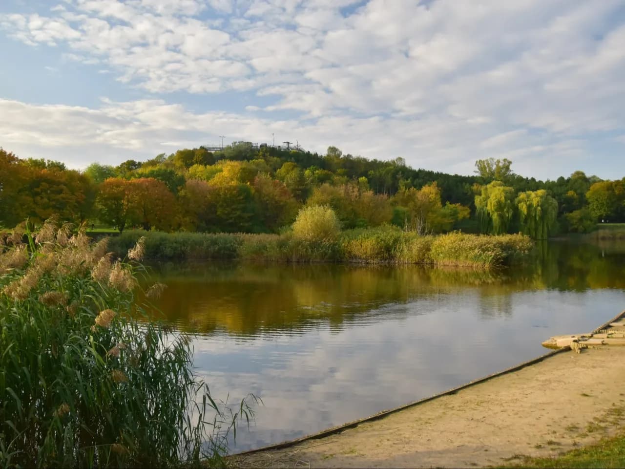 Atrakcje w Parku Szczęśliwickim, które zaskoczą każdego odwiedzającego