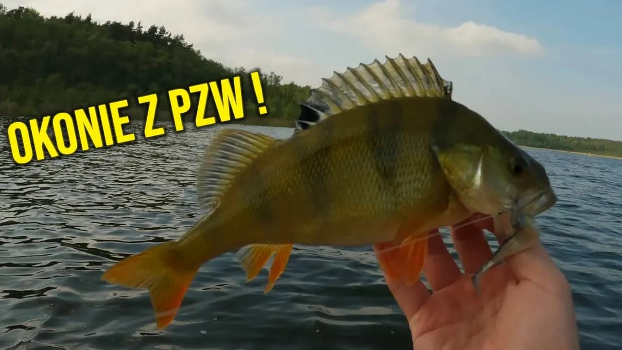 Jeziora PZW Mazowieckie: najlepsze miejsca na wędkowanie i ich tajemnice