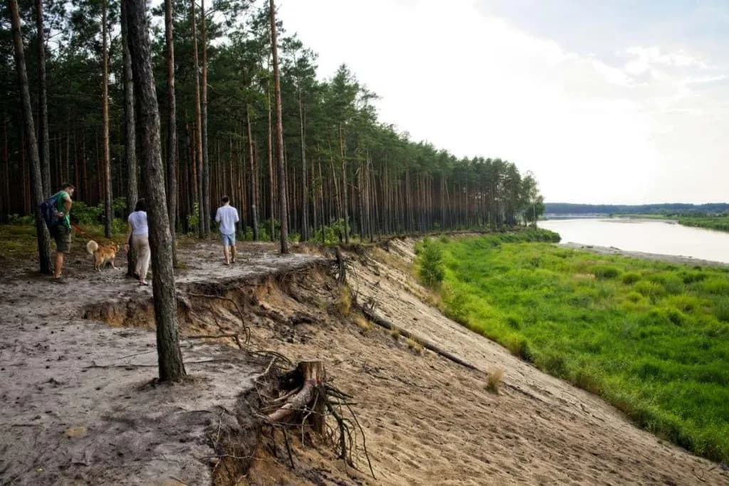 Atrakcje w pobliżu Warszawy, które musisz zobaczyć, aby nie żałować