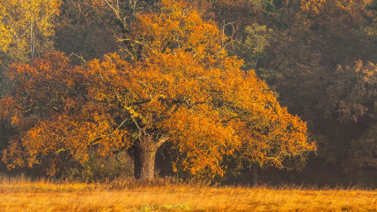 Najpiękniejsze miejsca w Polsce jesienią, które musisz zobaczyć